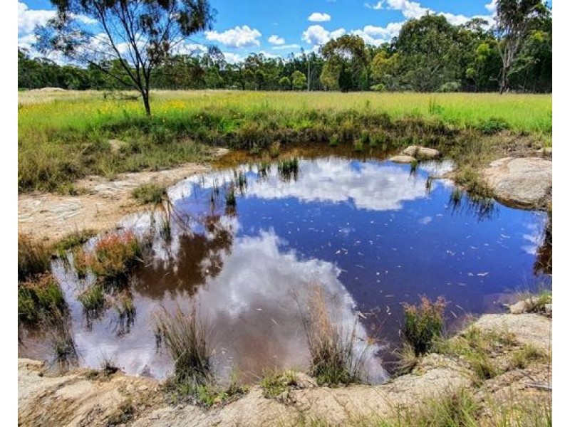 19 Nectar Lane, Broadwater QLD 4380