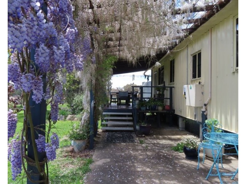 36 Willocks Lane, Greenlands QLD 4380