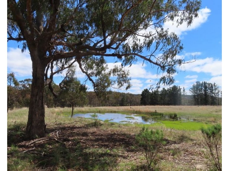 36 Willocks Lane, Greenlands QLD 4380