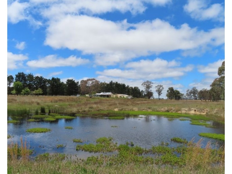 36 Willocks Lane, Greenlands QLD 4380