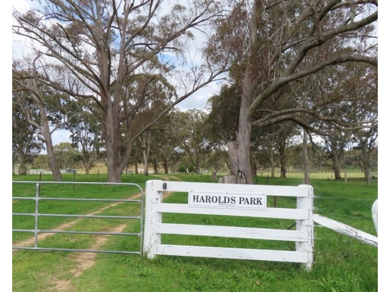 5230 Mount Lindesay Road, Liston NSW 2372