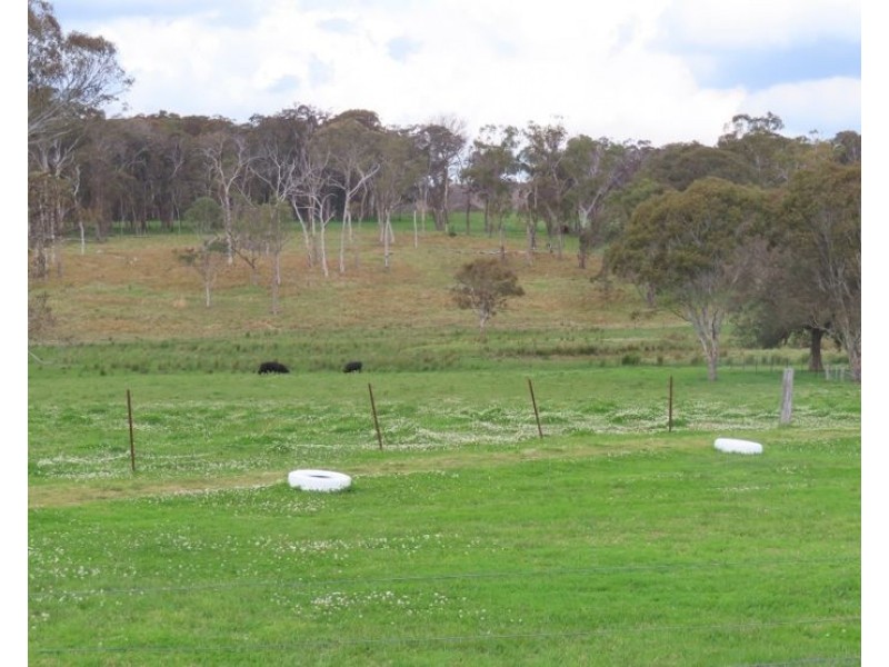 5230 Mount Lindesay Road, Liston NSW 2372