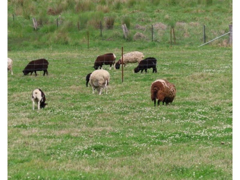 5230 Mount Lindesay Road, Liston NSW 2372