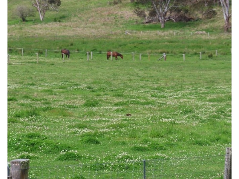 5230 Mount Lindesay Road, Liston NSW 2372