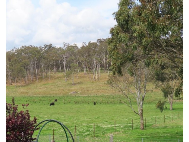 5230 Mount Lindesay Road, Liston NSW 2372