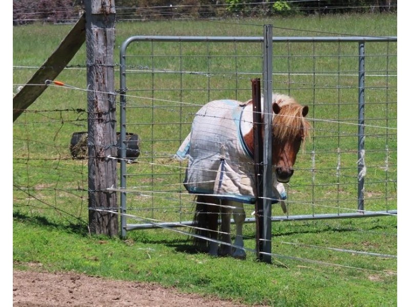 63 Reid Road, Severnlea QLD 4380