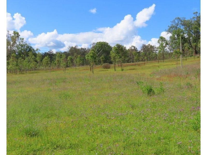 2379 Rivertree Road, Rivertree NSW 2372