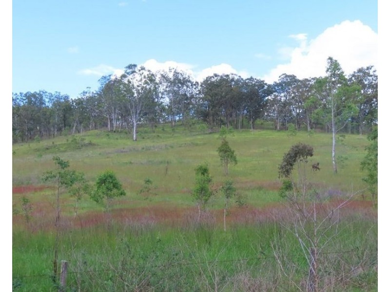 2379 Rivertree Road, Rivertree NSW 2372