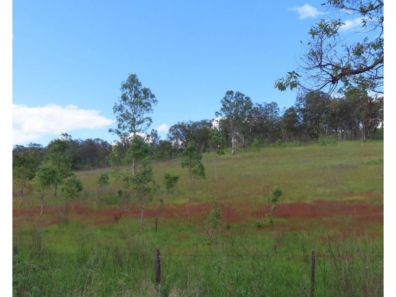 2379 Rivertree Road, Rivertree NSW 2372