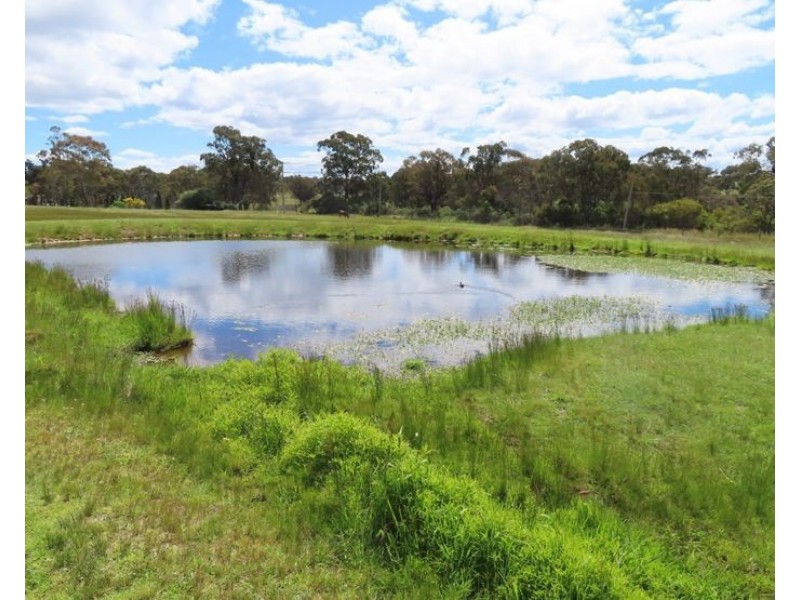 1199 Eukey Road, Eukey QLD 4380