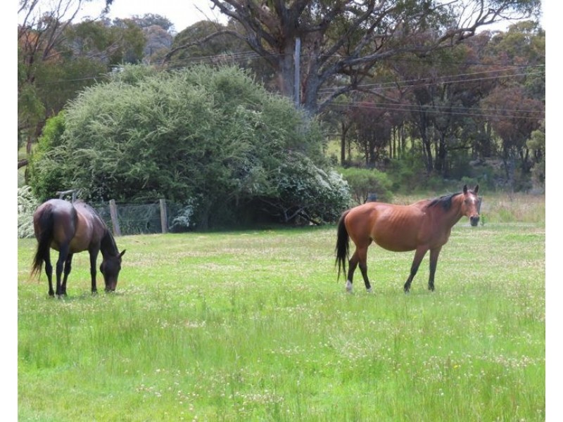 1199 Eukey Road, Eukey QLD 4380