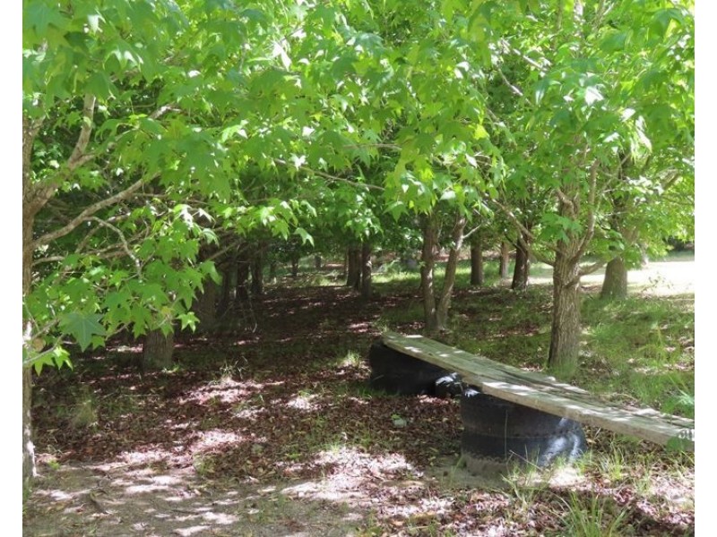 LOT 1, 52 Tunnel Road, Dalveen QLD 4374