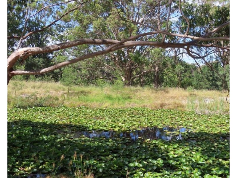 LOT 1, 52 Tunnel Road, Dalveen QLD 4374