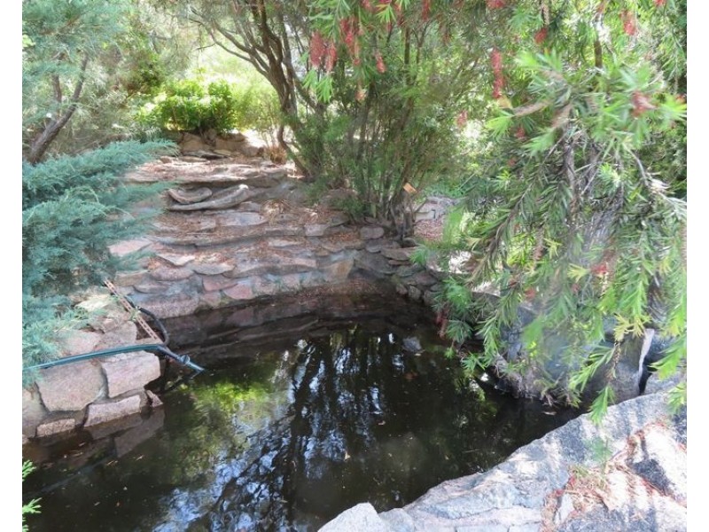 LOT 1, 52 Tunnel Road, Dalveen QLD 4374