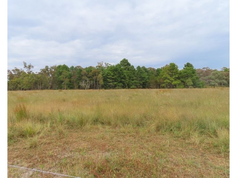 Lot 2 Cosmo Lane, Cottonvale QLD 4375