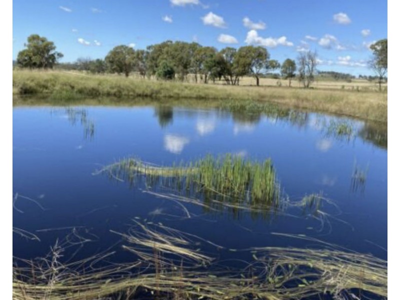 Lots 1 and 2 Wylie Creek Road, Maryland NSW 4377