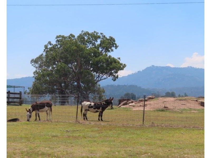 Lot 32 Mount Norman Road, Wallangarra QLD 4383