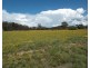 Lots 2 & 4 Pitts Street, Stanthorpe QLD 4380