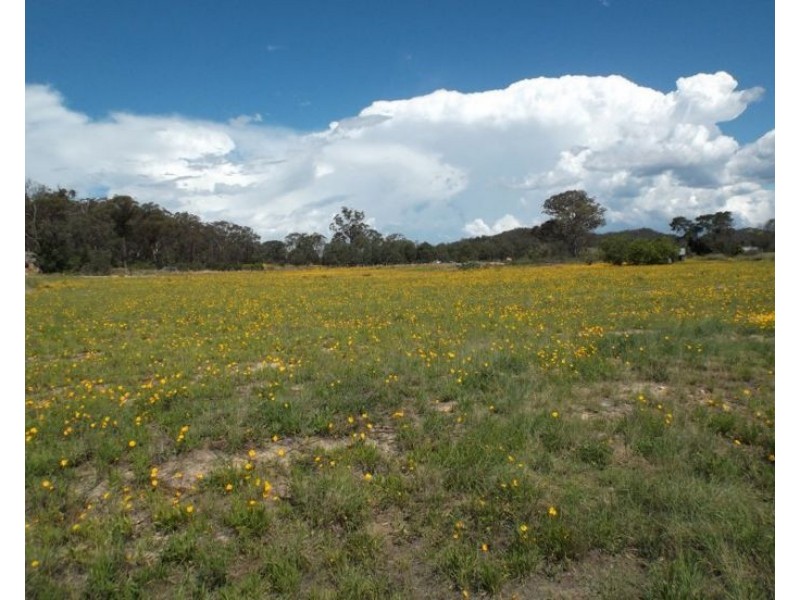 Lots 2 & 4 Pitts Street, Stanthorpe QLD 4380