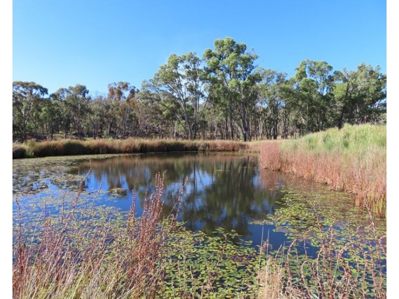 487 Bents Road, Ballandean QLD 4382