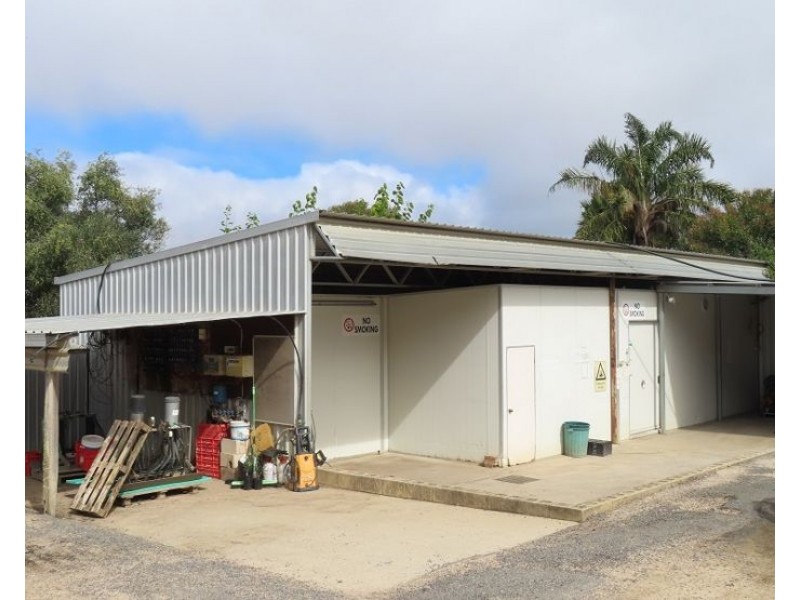 84 Halloran Drive, Thulimbah QLD 4376