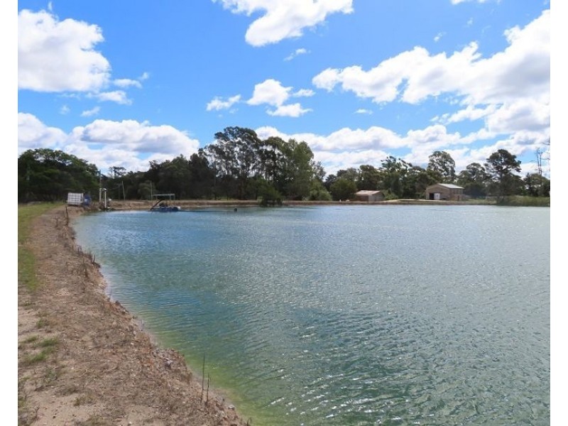 84 Halloran Drive, Thulimbah QLD 4376