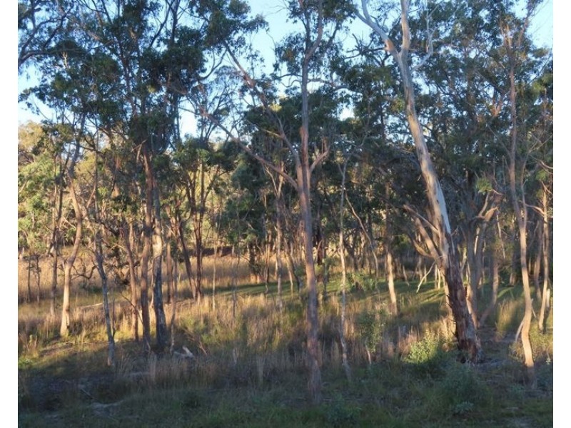 1113 Sugarloaf Road, Sugarloaf QLD 4380