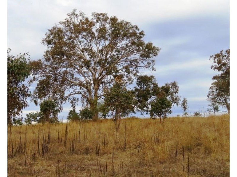 2913 Old Stanthorpe Road, Dalveen QLD 4374