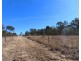 2913 Old Stanthorpe Road, Dalveen QLD 4374