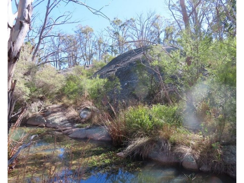 2913 Old Stanthorpe Road, Dalveen QLD 4374