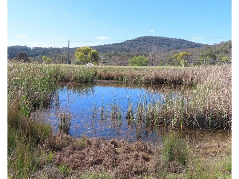 396 Back Creek Road, Severnlea QLD 4380