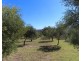 396 Back Creek Road, Severnlea QLD 4380