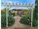 396 Back Creek Road, Severnlea QLD 4380