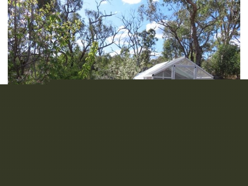 237 Caves Road, Stanthorpe QLD 4380