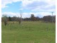 196 Church Road, The Summit QLD 4377