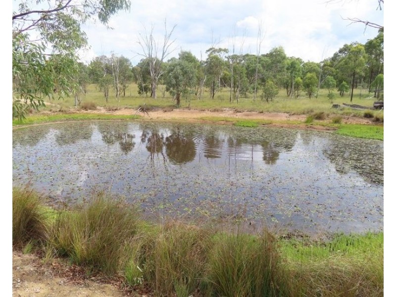 2631 Rabbit Fence Road, Goldfields QLD 4374