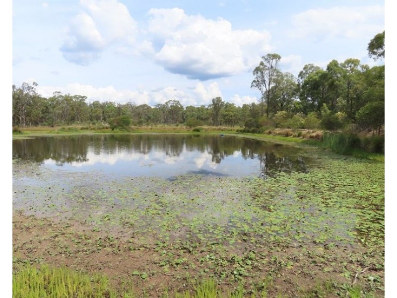 2631 Rabbit Fence Road, Goldfields QLD 4374