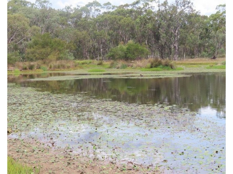 2631 Rabbit Fence Road, Goldfields QLD 4374