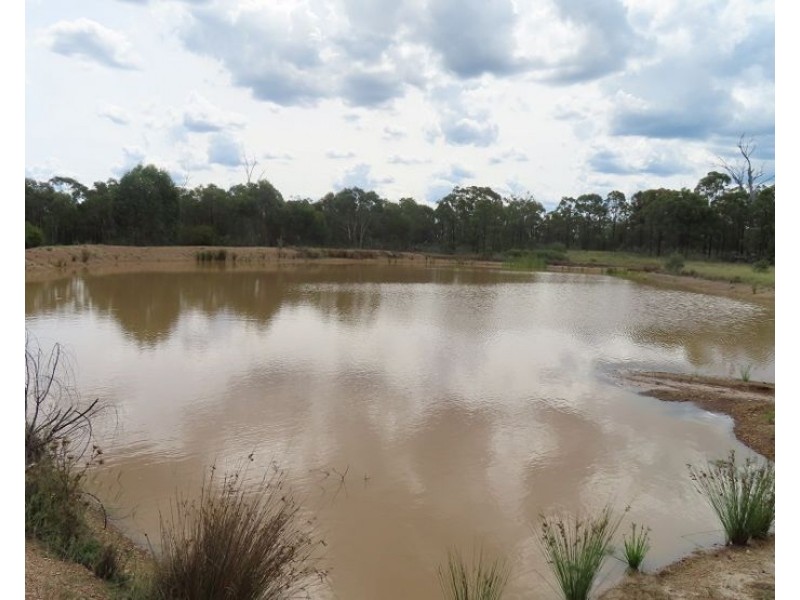 2631 Rabbit Fence Road, Goldfields QLD 4374