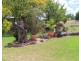 57 Collins Road, Glen Aplin QLD 4381