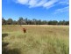 719 Mount Tully Road, Mount Tully QLD 4380