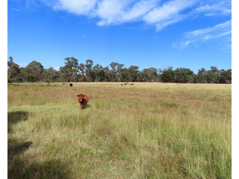 719 Mount Tully Road, Mount Tully QLD 4380