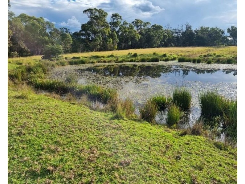 719 Mount Tully Road, Mount Tully QLD 4380