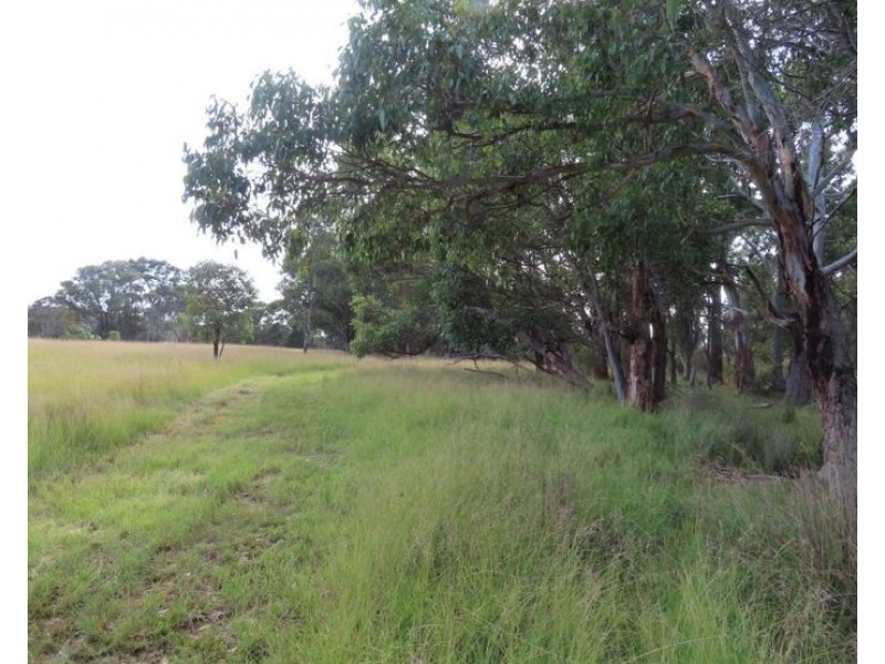 719 Mount Tully Road, Mount Tully QLD 4380
