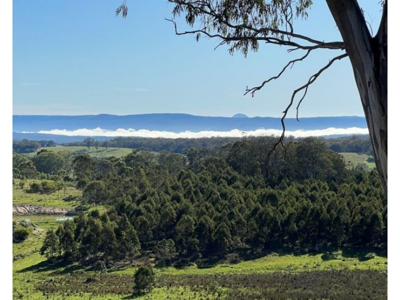 204 Wylie Creek Road, Wylie Creek NSW 2372