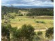 204 Wylie Creek Road, Wylie Creek NSW 2372
