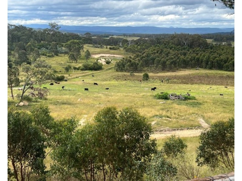 204 Wylie Creek Road, Wylie Creek NSW 2372