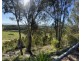 204 Wylie Creek Road, Wylie Creek NSW 2372