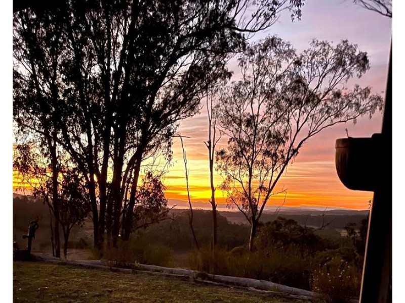 204 Wylie Creek Road, Wylie Creek NSW 2372