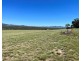 204 Wylie Creek Road, Wylie Creek NSW 2372